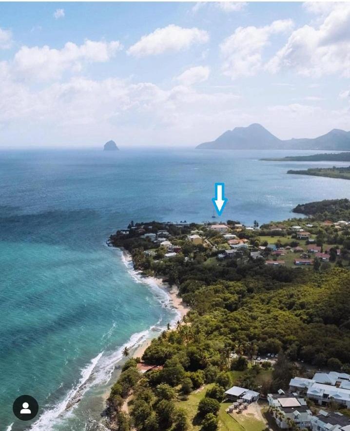 Appartement A Anse Mabouya En Rez De Jardin Avec Piscine A Proximite Des Plages Sainte-Luce Dış mekan fotoğraf